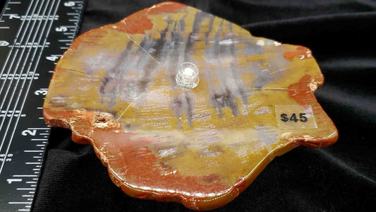 Arizona Rainbow Petrified Wood Oil Lamp