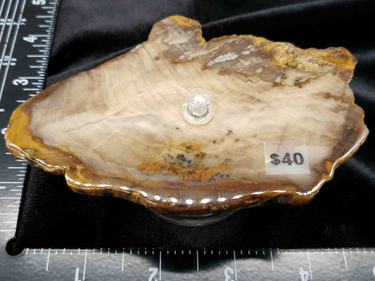 Petrified Wood Oil Lamp